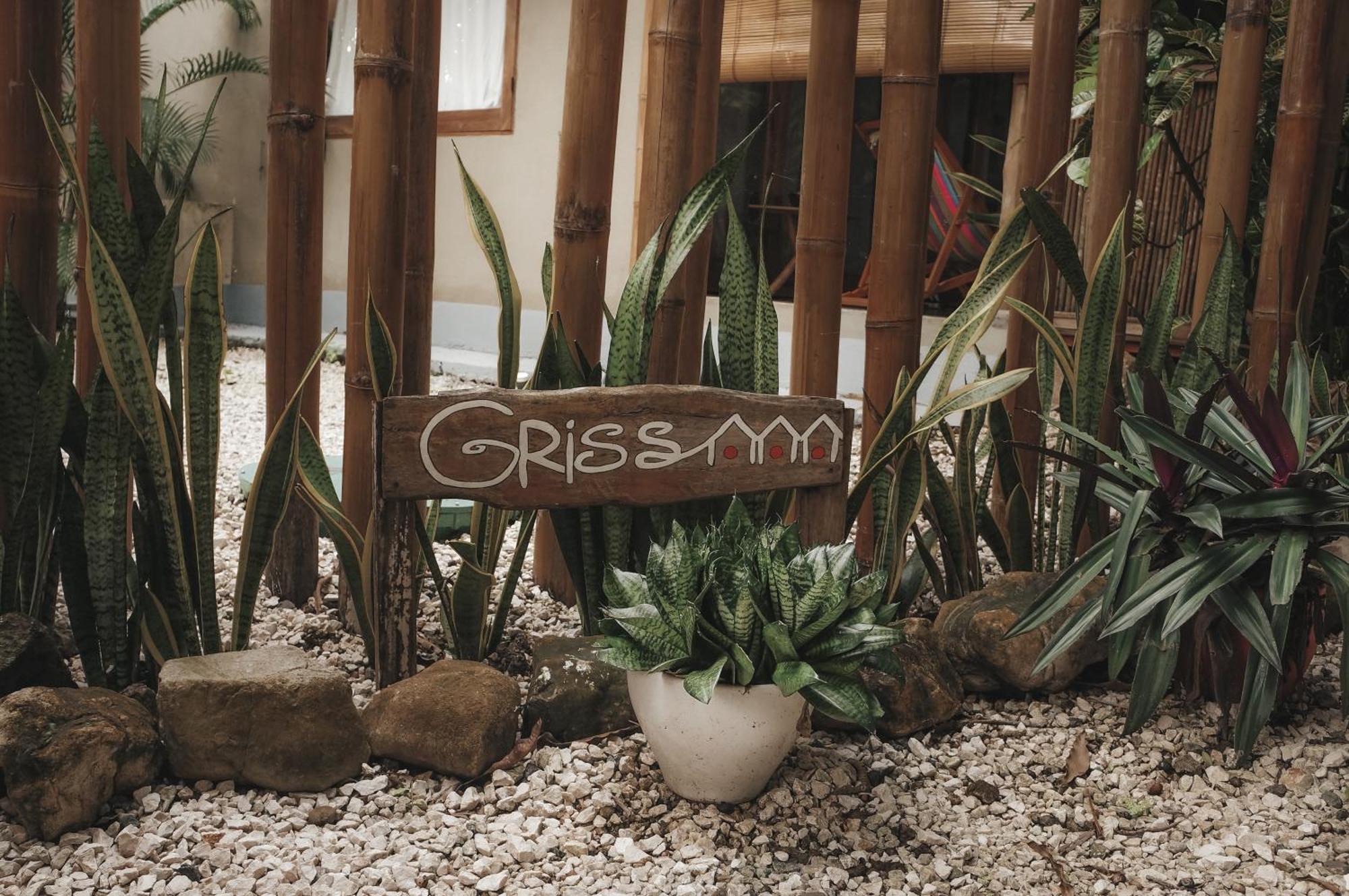 Griss Lodge & Spa Playa Santa Teresa  Exterior photo