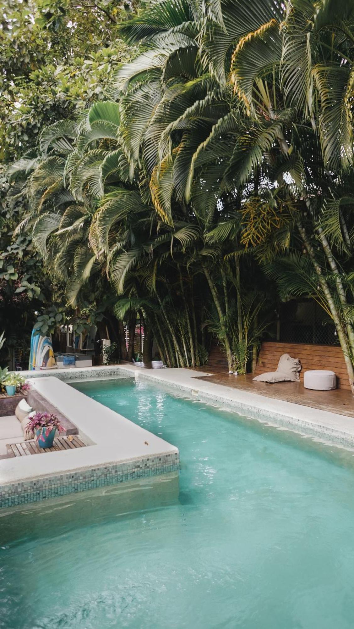 Griss Lodge & Spa Playa Santa Teresa  Exterior photo
